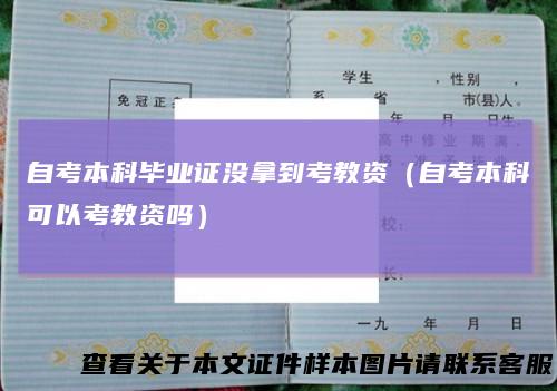 自考本科毕业证没拿到考教资（自考本科可以考教资吗）