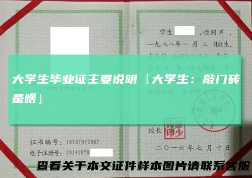 大学生毕业证主要说明『大学生：敲门砖是啥』