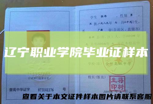 辽宁职业学院毕业证样本