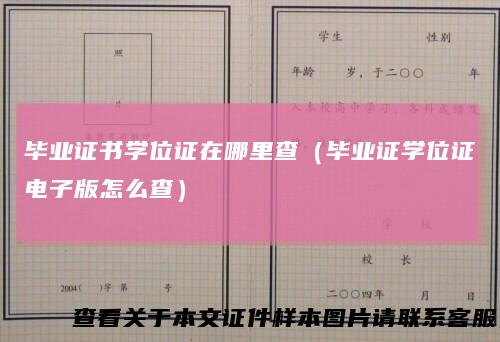 毕业证书学位证在哪里查（毕业证学位证电子版怎么查）