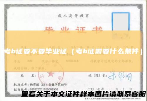 考b证要不要毕业证（考b证需要什么条件）