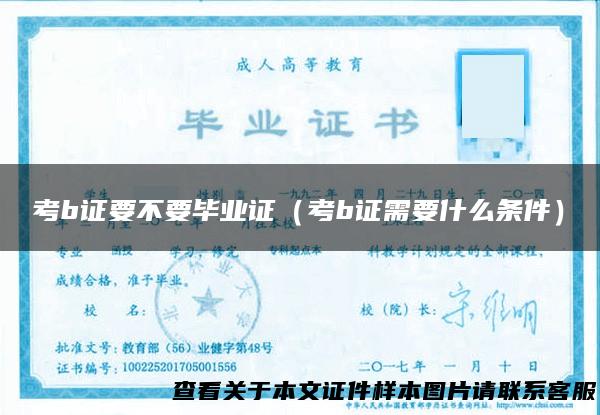考b证要不要毕业证（考b证需要什么条件）