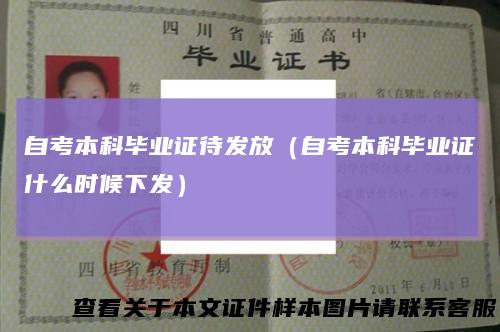 自考本科毕业证待发放（自考本科毕业证什么时候下发）