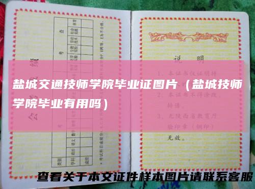 盐城交通技师学院毕业证图片（盐城技师学院毕业有用吗）
