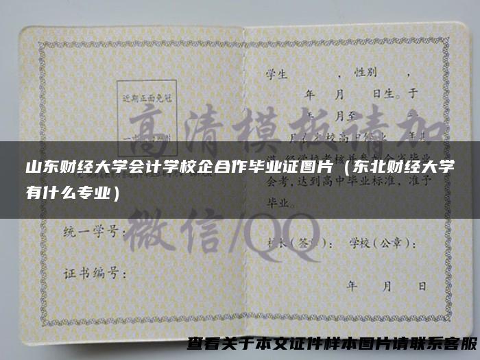 山东财经大学会计学校企合作毕业证图片（东北财经大学有什么专业）