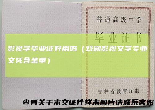 影视学毕业证好用吗（戏剧影视文学专业文凭含金量）
