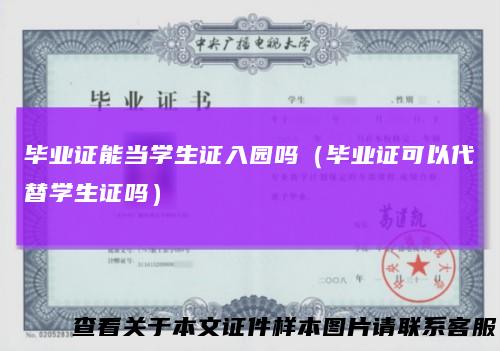 毕业证能当学生证入园吗（毕业证可以代替学生证吗）
