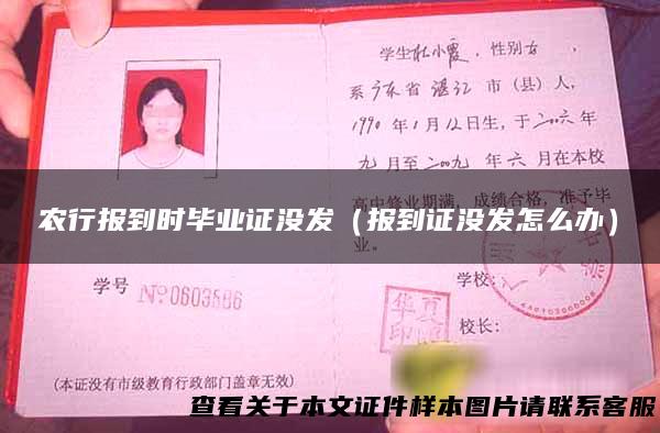 农行报到时毕业证没发（报到证没发怎么办）