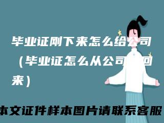 毕业证刚下来怎么给公司（毕业证怎么从公司拿回来）