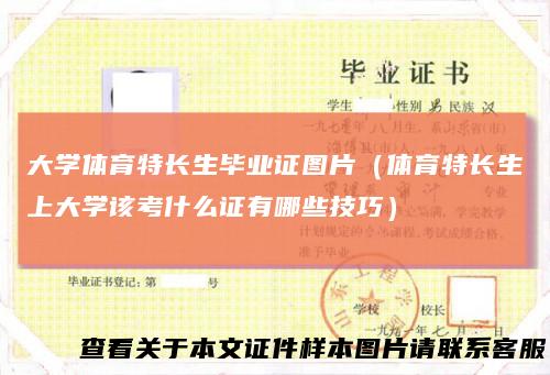 大学体育特长生毕业证图片（体育特长生上大学该考什么证有哪些技巧）