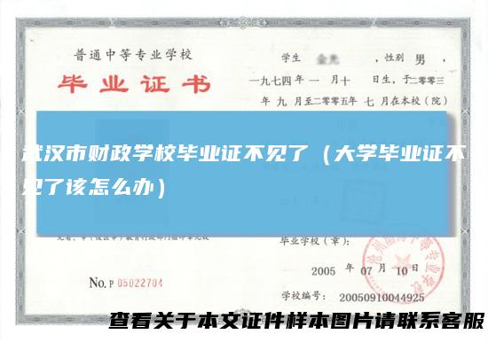 武汉市财政学校毕业证不见了（大学毕业证不见了该怎么办）
