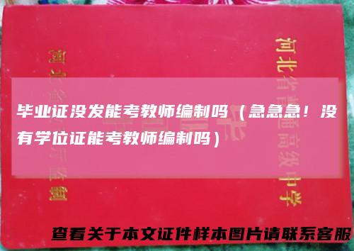 毕业证没发能考教师编制吗（急急急！没有学位证能考教师编制吗）
