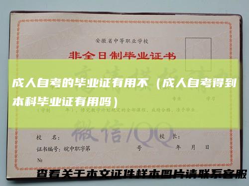 成人自考的毕业证有用不（成人自考得到本科毕业证有用吗）