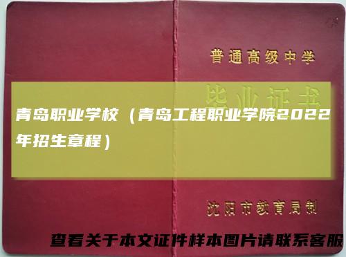 青岛职业学校(青岛工程职业学院2022年招生章程)