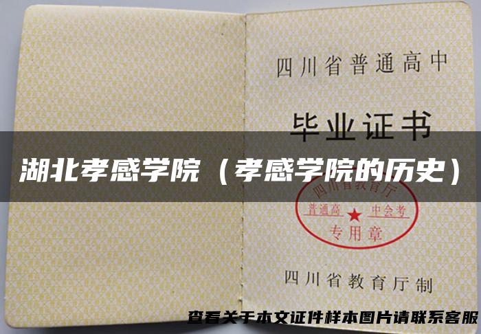 湖北孝感学院（孝感学院的历史）