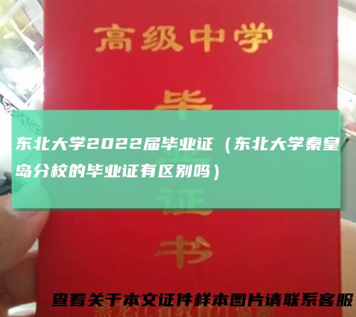 东北大学2022届毕业证（东北大学秦皇岛分校的毕业证有区别吗）