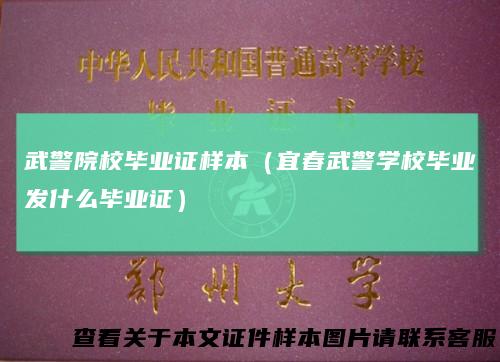 武警院校毕业证样本（宜春武警学校毕业发什么毕业证）
