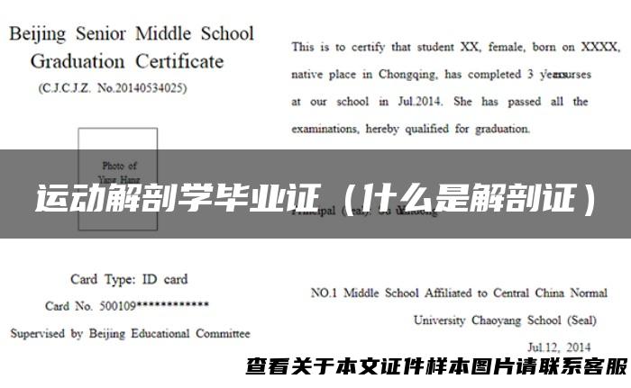 运动解剖学毕业证（什么是解剖证）