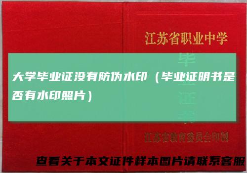 大学毕业证没有防伪水印（毕业证明书是否有水印照片）