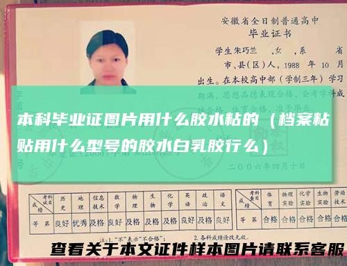 本科毕业证图片用什么胶水粘的（档案粘贴用什么型号的胶水白乳胶行么）