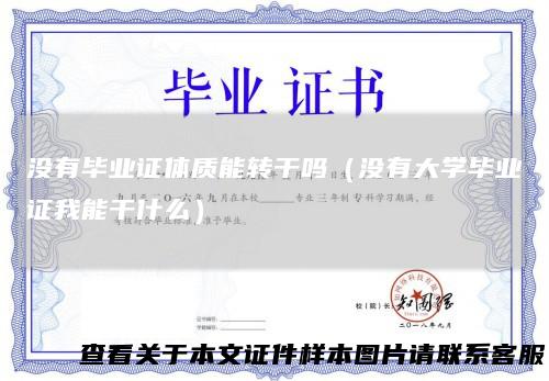 没有毕业证体质能转干吗（没有大学毕业证我能干什么）