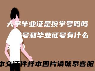 大学毕业证是按学号吗吗（学号和毕业证号有什么关系）