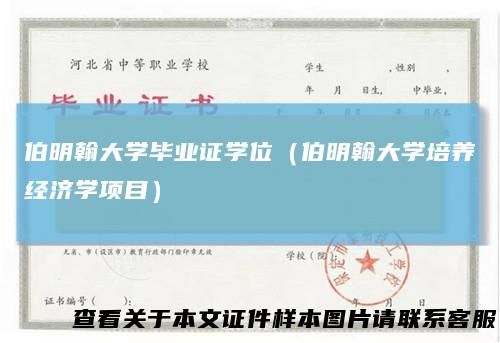 伯明翰大学毕业证学位（伯明翰大学培养经济学项目）