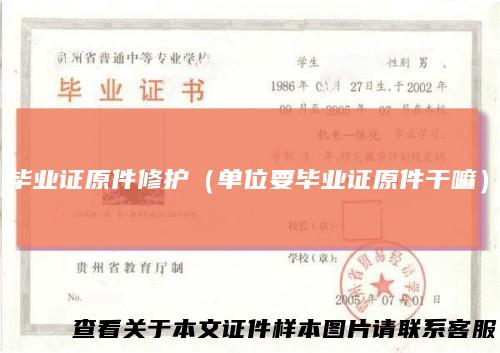 毕业证原件修护（单位要毕业证原件干嘛）
