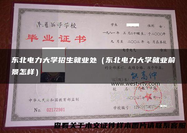 东北电力大学招生就业处（东北电力大学就业前景怎样）