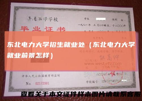 东北电力大学招生就业处（东北电力大学就业前景怎样）
