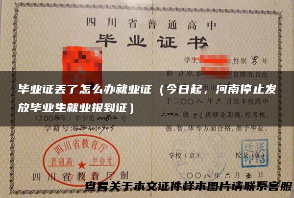 毕业证丢了怎么办就业证（今日起，河南停止发放毕业生就业报到证）