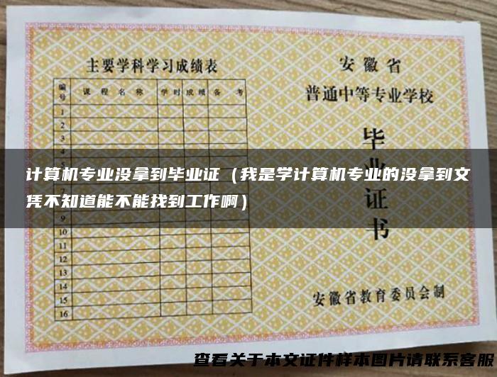 计算机专业没拿到毕业证（我是学计算机专业的没拿到文凭不知道能不能找到工作啊）