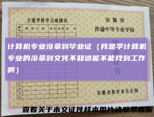 计算机专业没拿到毕业证（我是学计算机专业的没拿到文凭不知道能不能找到工作啊）