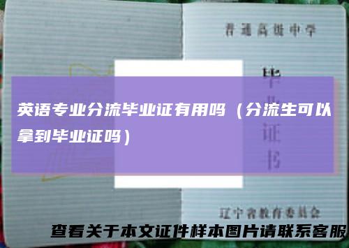 英语专业分流毕业证有用吗（分流生可以拿到毕业证吗）