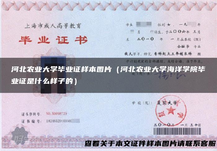 河北农业大学毕业证样本图片（河北农业大学海洋学院毕业证是什么样子的）