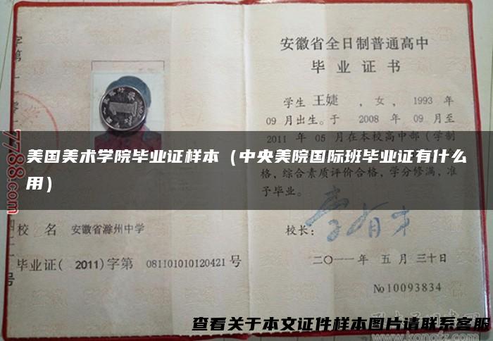 美国美术学院毕业证样本（中央美院国际班毕业证有什么用）