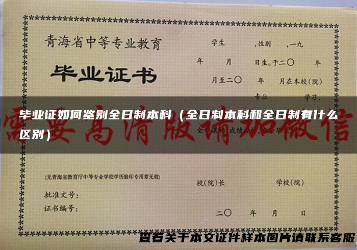 毕业证如何鉴别全日制本科（全日制本科和全日制有什么区别）