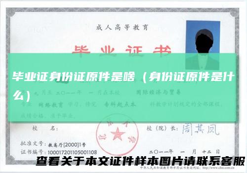 毕业证身份证原件是啥（身份证原件是什么）