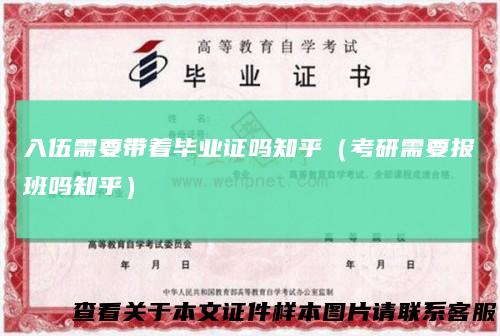 入伍需要带着毕业证吗知乎（考研需要报班吗知乎）