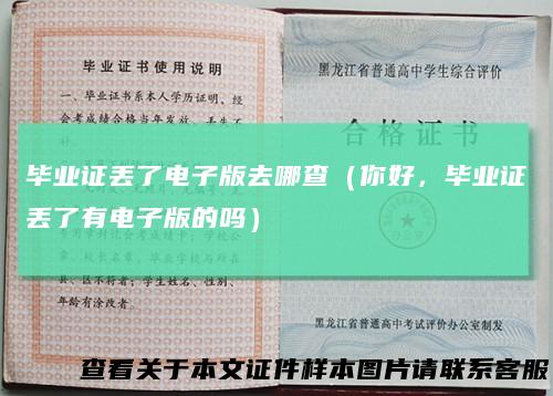 毕业证丢了电子版去哪查（你好，毕业证丢了有电子版的吗）
