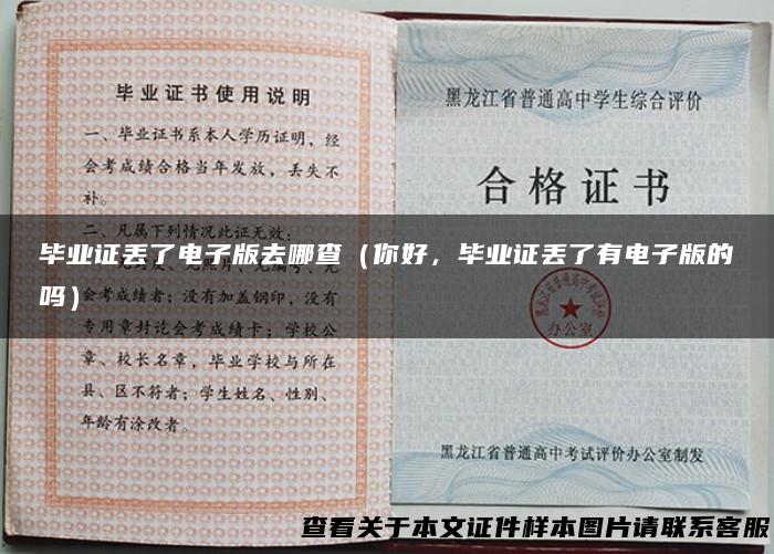 毕业证丢了电子版去哪查（你好，毕业证丢了有电子版的吗）