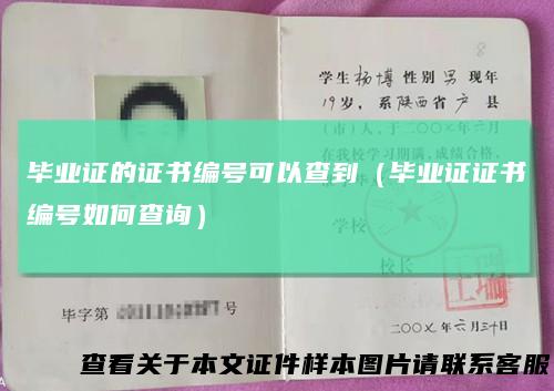 毕业证的证书编号可以查到（毕业证证书编号如何查询）