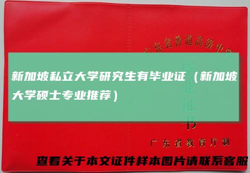 新加坡私立大学研究生有毕业证（新加坡大学硕士专业推荐）