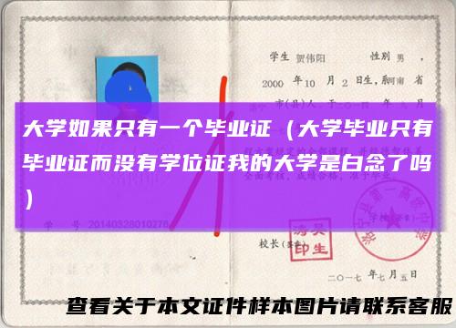 大学如果只有一个毕业证（大学毕业只有毕业证而没有学位证我的大学是白念了吗）