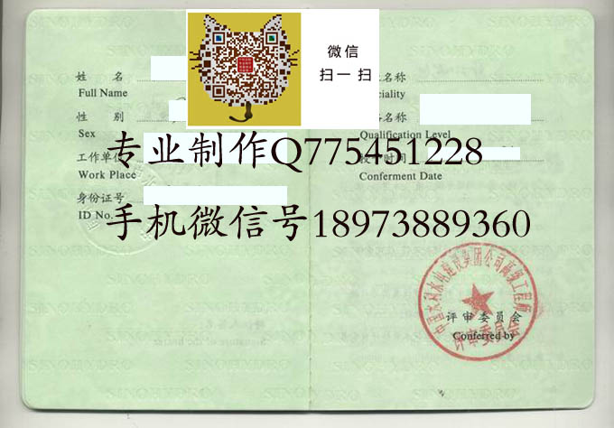 中国水利水电建设集团公司3