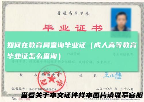 如何在教育局查询毕业证（成人高等教育毕业证怎么查询）