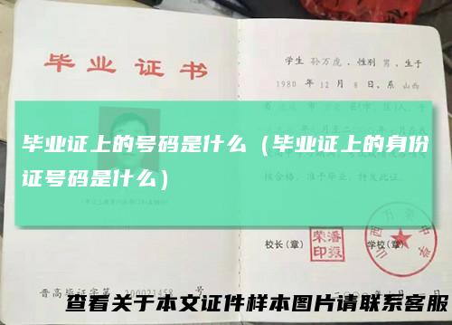 毕业证上的号码是什么(毕业证上的身份证号码是什么)