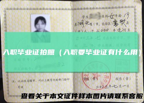 入职毕业证拍照（入职要毕业证有什么用）