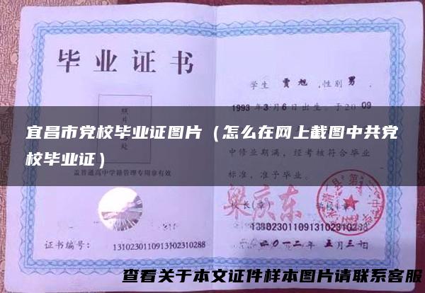 宜昌市党校毕业证图片（怎么在网上截图中共党校毕业证）