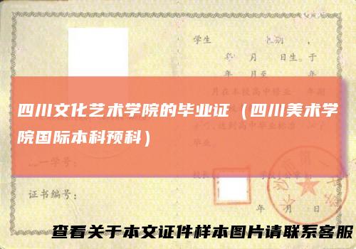 四川文化艺术学院的毕业证（四川美术学院国际本科预科）